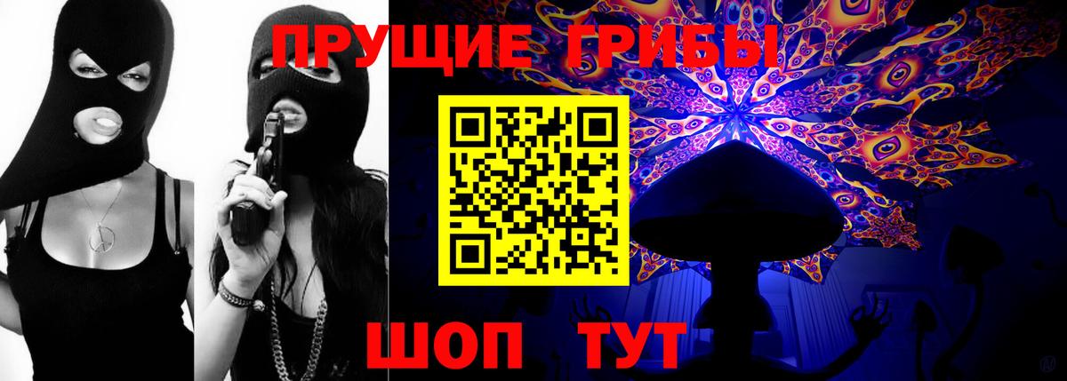 Псилоцибиновые грибы GOLDEN TEACHER  Вход с VPN  Шатура 